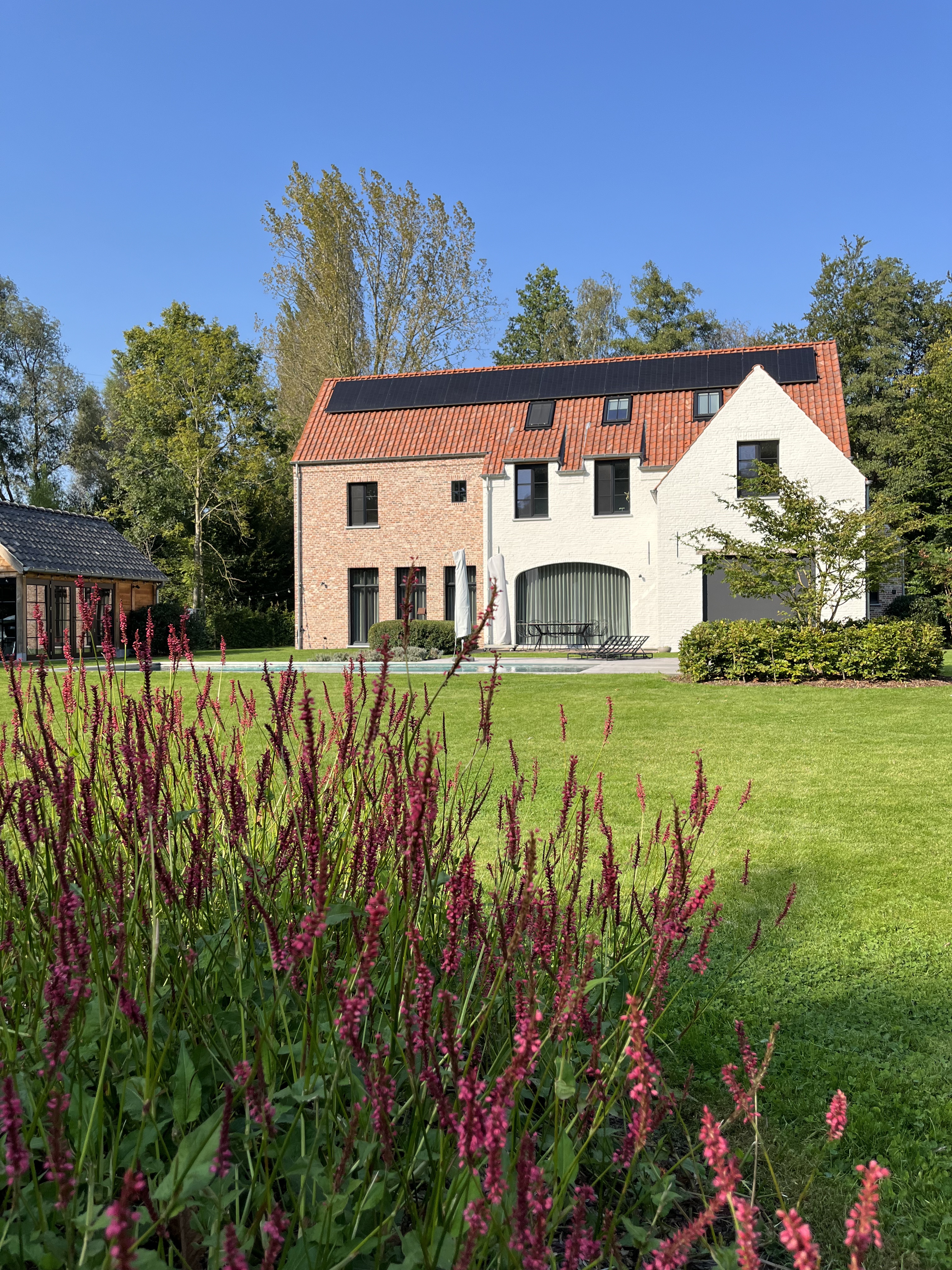 Afbeelding van professioneel tuinonderhoud met het snoeien van hagen, maaien van het gazon en verwijderen van onkruid. De tuin oogt verzorgd en netjes. Onderhoud uitgevoerd in regio Edegem, Kontich, Lint, Duffel, Wilrijk, Hove en Boechout.